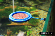 水槽用 熱帯魚 餌が散らばらない エサの広がり防止 吸盤 枠 リング 円形 四角 正方形 丸 給餌用品 エサやりグッズ ツール アクアリウム アクセサリー 水槽用品 観賞魚 メダカ 金魚 ペット用品