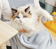 抱っこ用エプロン 猫 小型犬 肩掛けペットスリング 抱っこ紐 寝袋 キャリーバッグ カンガルー式ポケット 防寒 暖かい あったか