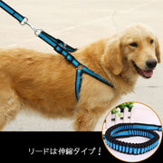 リード ハーネス 首輪 カラー 3点セット 犬用 猫用 伸縮 散歩紐 ペット用品 ペットグッズ シンプル おしゃれ 可愛い かわいい お出かけ 外出 お散歩 くびわ 引き縄 小型犬 中型犬 大型犬 イヌ いぬ ネコ ねこ バイカラー ブラック レッド ブルー 黒 赤 青