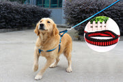 リード ハーネス 首輪 カラー 3点セット 犬用 猫用 伸縮 散歩紐 ペット用品 ペットグッズ シンプル おしゃれ 可愛い かわいい お出かけ 外出 お散歩 くびわ 引き縄 小型犬 中型犬 大型犬 イヌ いぬ ネコ ねこ バイカラー ブラック レッド ブルー 黒 赤 青