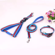 リード ハーネス 首輪 カラー 3点セット 犬用 猫用 伸縮 散歩紐 ペット用品 ペットグッズ シンプル おしゃれ 可愛い かわいい お出かけ 外出 お散歩 くびわ 引き縄 小型犬 中型犬 大型犬 イヌ いぬ ネコ ねこ バイカラー ブラック レッド ブルー 黒 赤 青