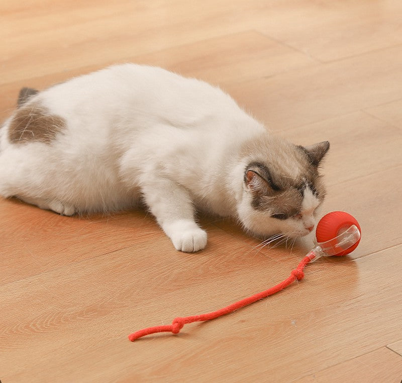 電動猫じゃらし ペット用おもちゃ 自動 ボール 動く 転がる 商品画像3