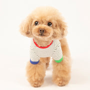ペットウェア Tシャツ 犬服 猫服 犬用ウェア ドッグウェア ボーダー柄 可愛い おしゃれ お散歩 記念写真 インスタ映え ギフト プレゼント ワンちゃん ネコちゃん イヌ ネコ キャット ドッグ ホワイト イエロー