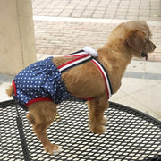 ペット用サニタリーパンツ ペット用生理パンツ マナーパンツ サスペンダー おむつカバー 犬 猫 イヌ ネコ ペットウェア トイレタリー用品 ドット柄 スター ワッペン フラワー パンダ ウエストゴム かわいい カジュアル おしゃれ ペット用品 ペットグッズ