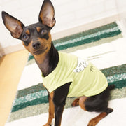 ペット服 タンクトップ 犬 猫 小型犬 ノースリーブ 薄手 袖なし カットソー バックプリント 天使の羽 翼 お散歩 お出掛け ドッグウエア キャットウエア 春 夏 ピンク パープル  グリーン かわいい