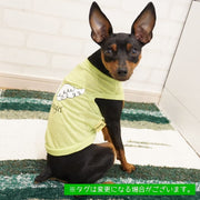 ペット服 タンクトップ 犬 猫 小型犬 ノースリーブ 薄手 袖なし カットソー バックプリント 天使の羽 翼 お散歩 お出掛け ドッグウエア キャットウエア 春 夏 ピンク パープル  グリーン かわいい