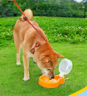 ペット用給水ボトル ウォーターボウル 給水器 水筒 折り畳み 犬 猫 持ち運び 携帯 散歩 お出かけ ストラップ付 いぬ イヌ ペットグッズ