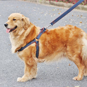 ハーネスリード 首輪 3点セット ペット用品 中型犬 大型犬  スナップフック デニム風 カジュアル シンプル ブルー ブラック レッド かわいい おしゃれ かっこいい 着脱簡単 ラクラク お散歩 お出かけ アウトドア ドッグ わんちゃん イヌ