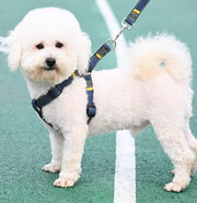 ハーネスリード 首輪 3点セット ペット用品 中型犬 大型犬  スナップフック デニム風 カジュアル シンプル ブルー ブラック レッド かわいい おしゃれ かっこいい 着脱簡単 ラクラク お散歩 お出かけ アウトドア ドッグ わんちゃん イヌ