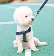 ハーネスリード 首輪 3点セット ペット用品 中型犬 大型犬  スナップフック デニム風 カジュアル シンプル ブルー ブラック レッド かわいい おしゃれ かっこいい 着脱簡単 ラクラク お散歩 お出かけ アウトドア ドッグ わんちゃん イヌ