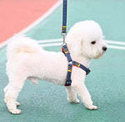 ハーネスリード 首輪 3点セット ペット用品 中型犬 大型犬  スナップフック デニム風 カジュアル シンプル ブルー ブラック レッド かわいい おしゃれ かっこいい 着脱簡単 ラクラク お散歩 お出かけ アウトドア ドッグ わんちゃん イヌ