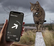 猫用バックル AirTagスリーブ付き エアタグ ケース ペット用品 猫用品 セーフティーバックル 首輪 鈴付き ブラック ピンク 迷子防止 かわいい