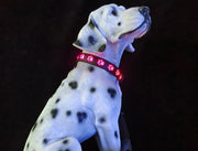首輪 犬用 猫用 LEDライト 光る USB充電式 お散歩グッズ 足あと 肉球 かわいい シンプル 長さ調整可能 ペット用品