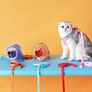 猫用ハーネス ペットウエア キャットウェア ベスト リード付き ピンク ブルー オレンジ 散歩用品 かわいい カラフル 光る