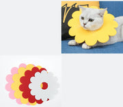 エリザベスカラー 5個セット 猫用 犬用 ペット用品 ペットグッズ ケア用品 傷舐め防止 ひっかき防止 傷口保護 術後 介護 皮膚病 フラワー 花 かわいい