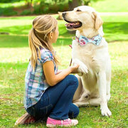 首輪 カラー 犬用 猫用 イヌ ネコ チョーカー 首飾り ペット用品 ペットグッズ キャット 首輪 リボン付き Dカン付き グラデーションカラー チェック 花 フラワー 魚 おしゃれ かわいい キュート お出かけ お散歩 ピンク 青 紫 赤 黄 白