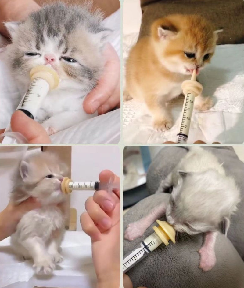 シリコンニップル シリンジ 5点セット ペット用品 子犬 子猫 商品画像2