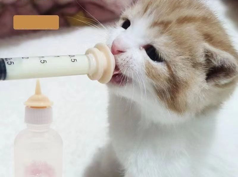 シリコンニップル シリンジ 5点セット ペット用品 子犬 子猫 商品画像3