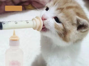 シリコンニップル シリンジ 4点セット ペット用品 子犬 子猫 老犬 老猫 小動物 哺乳用乳首 注射器 フィーダー 経口投薬 介護