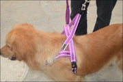 ハーネス 胴輪 単品 犬用 イヌ 小型犬 ペットウェア ドッグウェア ペット用品 反射材入り シンプル お出かけ お散歩 かわいい おしゃれ