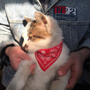 ペット用バンダナ スタイ スカーフ 犬用 猫用 よだれかけ 首輪 カラー 首飾り チョーカー ベルト式 長さ調節可能 ペット用品 Dカン おめかし 散歩 可愛い おしゃれ ペットグッズ イヌ用 いぬ用 ネコ用 ねこ用