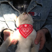 ペット用バンダナ スタイ スカーフ 犬用 猫用 よだれかけ 首輪 カラー 首飾り チョーカー ベルト式 長さ調節可能 ペット用品 Dカン おめかし 散歩 可愛い おしゃれ ペットグッズ イヌ用 いぬ用 ネコ用 ねこ用