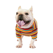 ペットウェア ドッグウェア Tシャツ 犬服 犬用 ペット用品 小型犬 袖あり ボーダー カラフル おしゃれ かわいい お散歩 汚れ防止 お出掛け わんちゃん