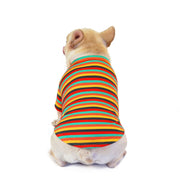 ペットウェア ドッグウェア Tシャツ 犬服 犬用 ペット用品 小型犬 袖あり ボーダー カラフル おしゃれ かわいい お散歩 汚れ防止 お出掛け わんちゃん