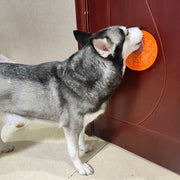 リックパッド 舐めるパッド フードプレート ペット食器 シリコン 吸盤 ペット用品 犬 猫 ドッグ 気晴らし 気を逸らす なめる ぺろぺろ ペロペロ 早食い防止