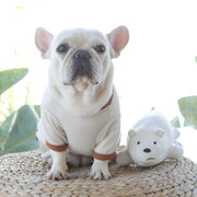 ペットウェア ドッグウエア Tシャツ カットソー ワンピース 犬服 洋服 犬 猫 ワッフル生地 くま かわいい プルオーバー キャットウェア ドッグウェア