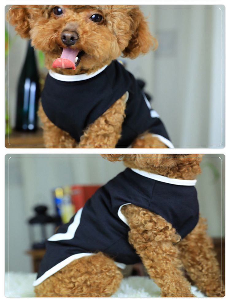 ドッグウェア 犬服 ペット服 犬用 小型犬 クルーネック 商品画像3