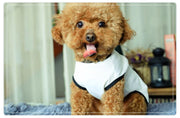 ドッグウェア 犬服 ペット服 犬用 小型犬 クルーネック タンクトップ 袖なし 春 夏 カジュアル 無地 ロゴ パイピング ハート 犬の足跡 肉球 シンプル おしゃれ 可愛い かわいい ペア