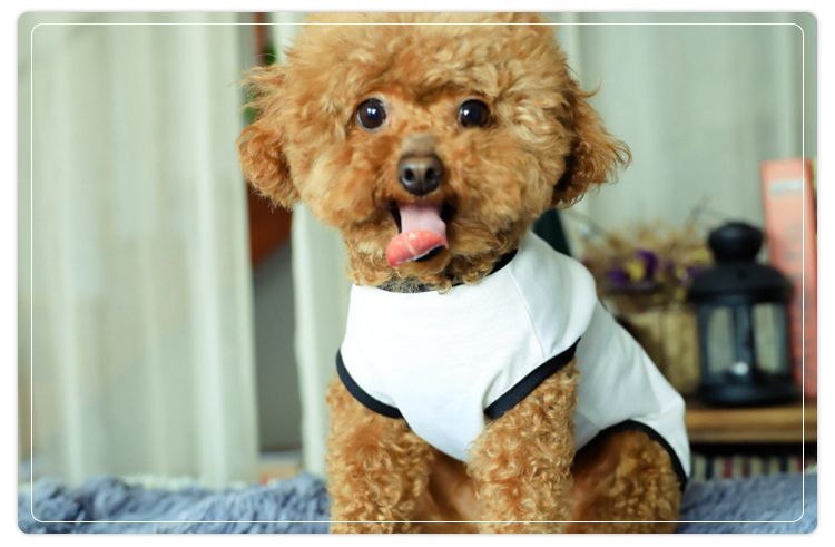 ドッグウェア 犬服 ペット服 犬用 小型犬 クルーネック 商品画像5