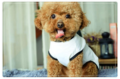 ドッグウェア 犬服 ペット服 犬用 小型犬 クルーネック 商品画像5