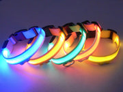 首輪 ペット 犬 わんこ ペット用品 LEDライト 光る 調整可能 電池式 点滅 夜 夜間 お散歩