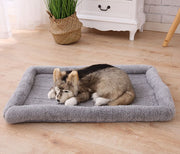 ペット用ベッド カドラー 70×45cm マット 長方形 スクエア ボアフリース 小型犬 猫 ペット用品 防寒 暖かい 秋冬 あったか 保温 寒さ対策 ふかふか 通気性 裏面防水 ペットハウス 寝床 寝具 室内用 角型 無地 シンプル イヌ いぬ ドッグ DOG ネコ ねこ キャット CAT