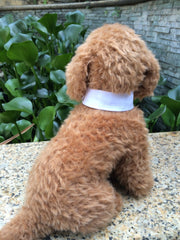 ペット用アクセサリー 犬用 ペット用品 ドッググッズ 蝶ネクタイ リボン 水玉 ドット チェック かわいい おしゃれ 首飾り お出掛け
