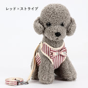 ハーネスリード セット ハーネス 胴輪 リード 小型犬 ペット用品 犬用品 犬グッズ 散歩 お出かけ おしゃれ 可愛い チェック ドット ストライプ