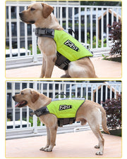 犬用ライフジャケット 犬服 犬用ウェア ドッグウェア 単品 持ち手付き 救命胴衣 水遊び プール 水泳 川 海 マリンスポーツ 可愛い おしゃれ ワンちゃん イヌ ドッグ 緑 オレンジ