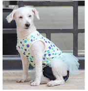 サニタリーパンツ 生理パンツ マナーパンツ 犬用 猫用 ペット用 ペットウェア 女の子用 デニム風 マジック テープ サイズ調整可能