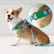 Airtag用シリコン保護カバー ペット 犬 猫 エアタグ用 保護ケース エアタグ用ケース エアタグ用カバー ホルダー ケース カバー シリコン 迷子対策 カラバリ豊富