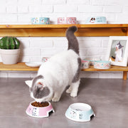 ペット用食器 セラミック 陶器 犬用 猫用 ペット用品 フードボール エサ皿 餌入れ 円形 イラスト ロゴ 可愛い ピンク グリーン ブルー