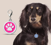 ペット用迷子札 名札 ネームタグ ネームチャーム 犬猫兼用 ドッグタグ キャットタグ 犬 猫 ペット用品 ペットグッズ 首輪アクセサリー 肉球 丸型 サークル 迷子防止 かわいい キュート シンプル おしゃれ ナスカン 赤 緑 青 紫 黒 ピンク ローズ 橙