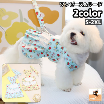 ペットウェア ワンピース リード付き 2点セット ドッグウェア 犬服 商品画像