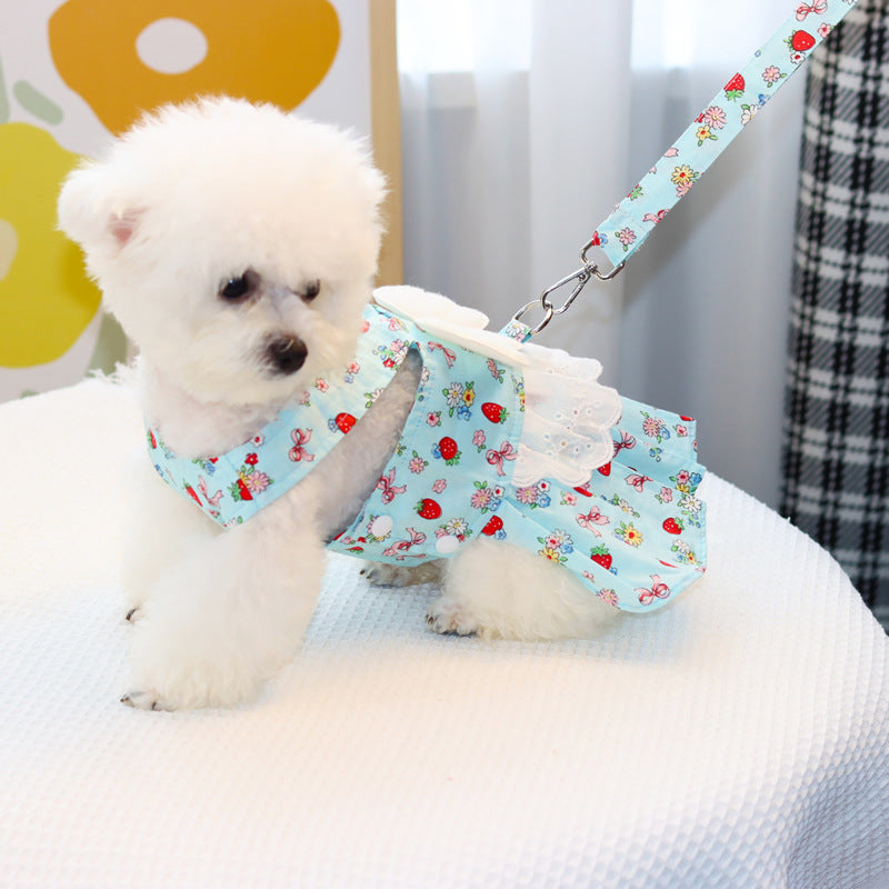 ペットウェア ワンピース リード付き 2点セット ドッグウェア 犬服 商品画像3