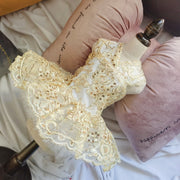 ペットドレス ドッグウエア ペット服 ペットウエア ノースリーブ カシュクール Vネック レース チュール スパンコール 刺繍 犬 愛犬 DOG 犬服 ペット用品 華やか お出掛け 可愛い かわいい ゴールド シルバー