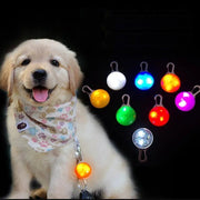 首輪用チャーム お散歩ライト LEDライト ペンダント 犬用 ペット用品 セーフティーライト 光る 吊り下げ 夜間 安全対策 首輪アクセサリー