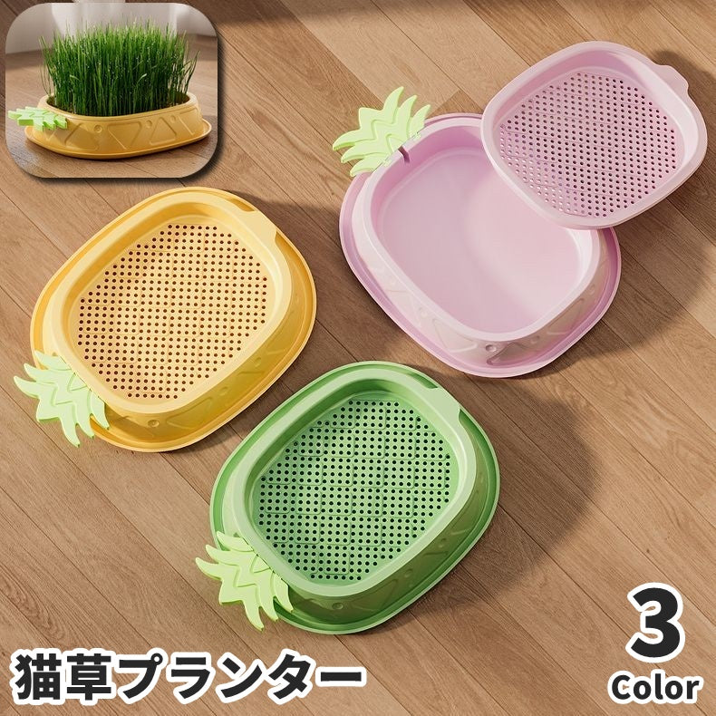 猫草プランター 猫草ポット 猫草ボックス ケースのみ ペット用品 猫用品 猫 ねこ ネコ 水耕栽培 容器 鉢 室内 屋内 シンプル おしゃれ