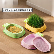 猫草プランター 猫草ポット 猫草ボックス ケースのみ ペット用品 猫用品 猫 ねこ ネコ 水耕栽培 容器 鉢 室内 屋内 シンプル おしゃれ