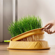 猫草プランター 猫草ポット 猫草ボックス ケースのみ ペット用品 猫用品 猫 ねこ ネコ 水耕栽培 容器 鉢 室内 屋内 シンプル おしゃれ